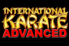 International Karate Advanced